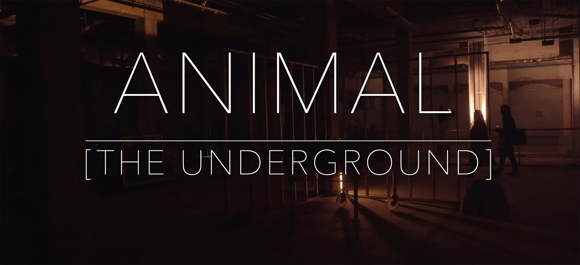 Animal LA Trailer Hero Image