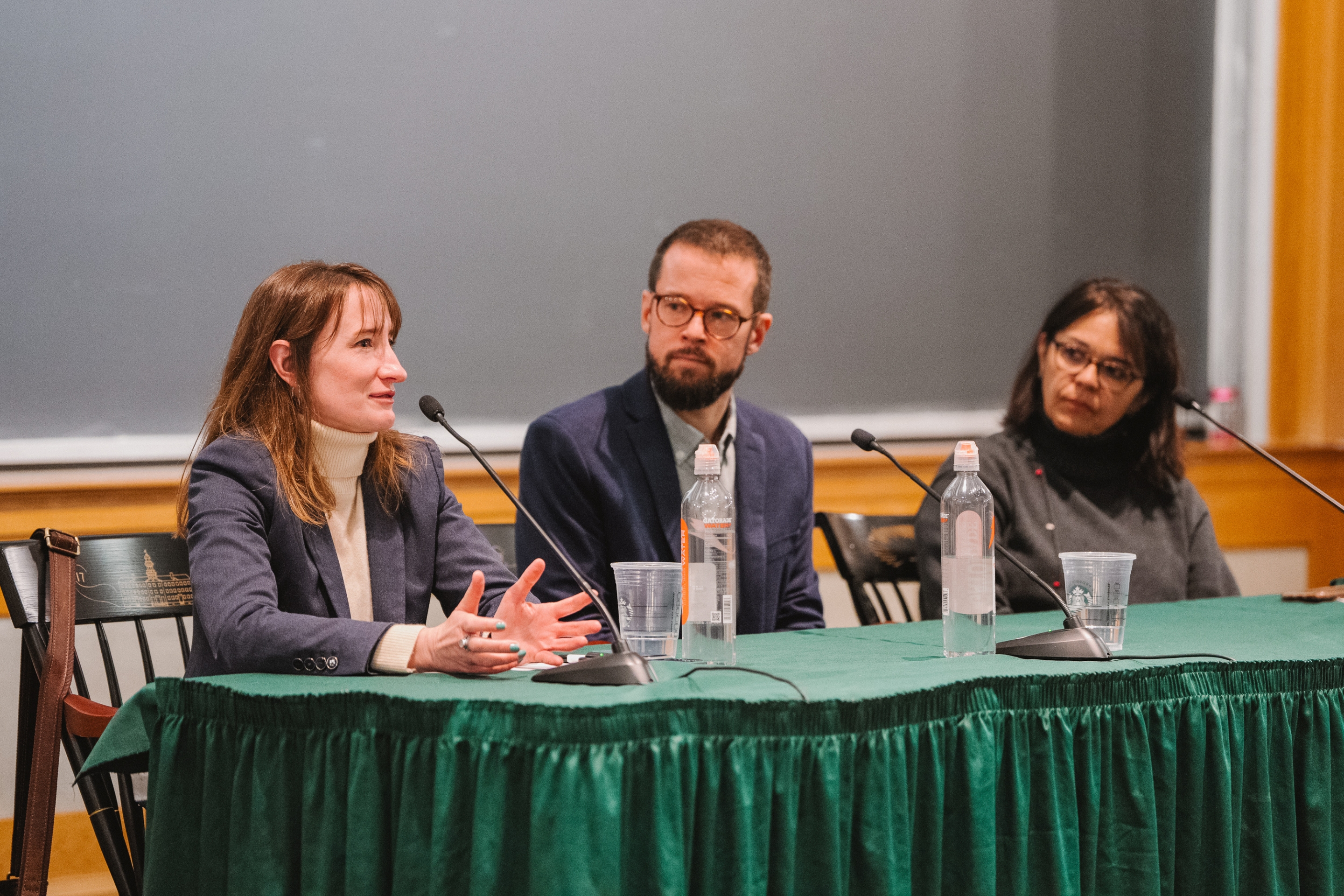 Mass deportation panel
