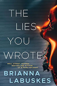 The Lies You Wrote Book
