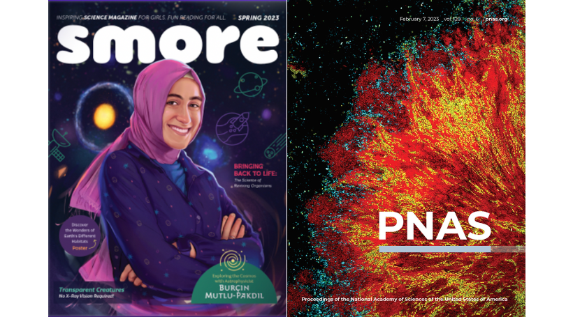 covers