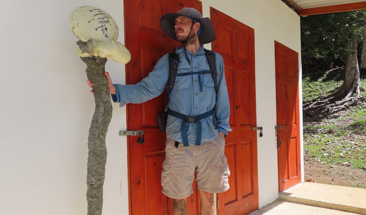 Mold of the entire burrow of a land crab from Osa Peninsula, Costa Rica. Themold was made in 2022 by Mark Laidre and now hangs as an educational tool at the Osa Conservation biological station in Costa Rica.