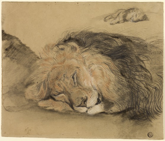 Edmé Saint-Marcel, Lion's Head and Sketch of a Lion, c. 1860-1870. Charcoal, graphite, and red chalk with touches of white chalk, 25 x 29 cm. Art Institute of Chicago.