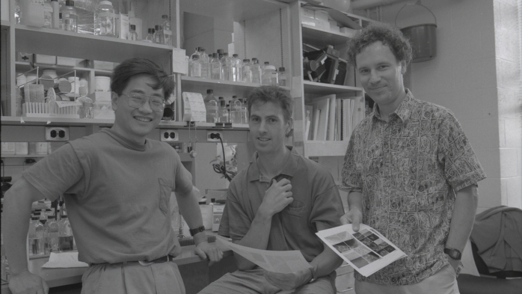 Victor Ambros, Yang Hong, and Richard Roy