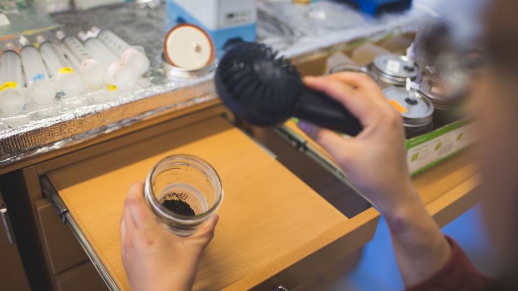 Person holding a mason jar and a fan