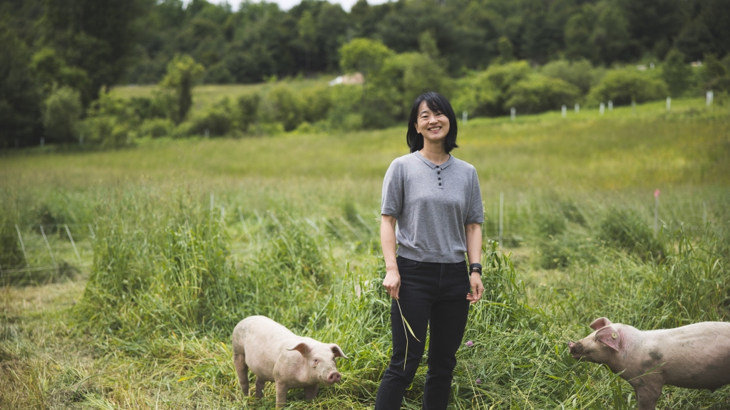 Jiajing Wang with pasture-raised pigs