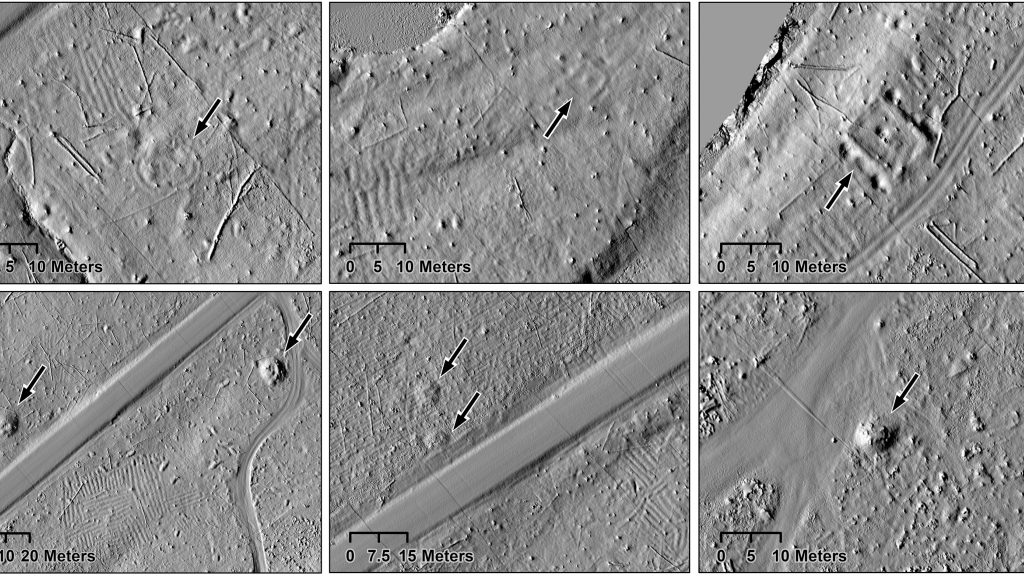 A grid of Lidar data