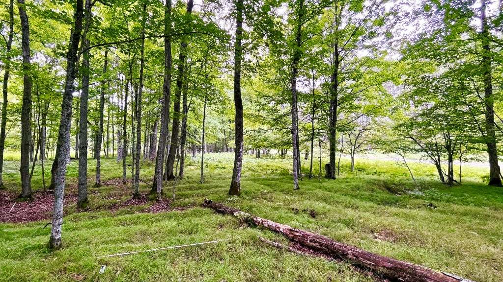 Raised agricultural beds