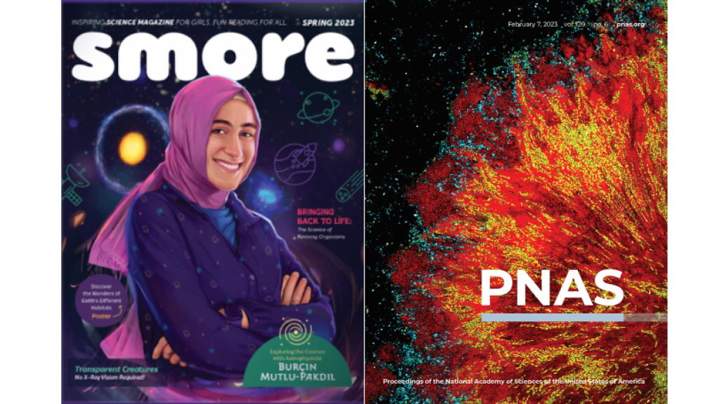 covers