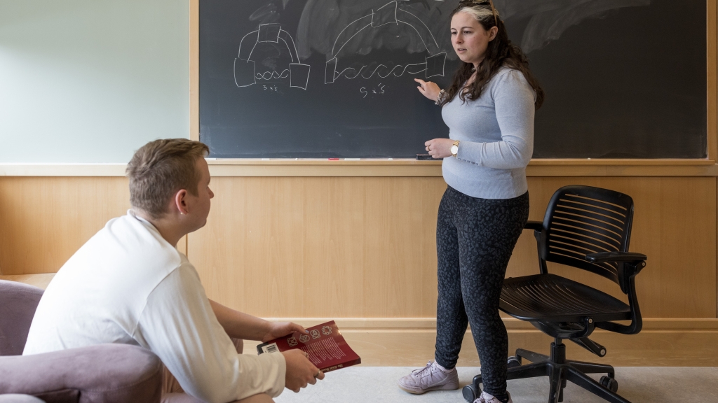 math mentor and student