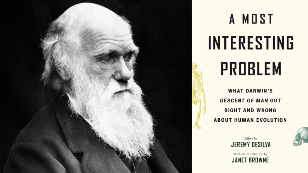 darwin