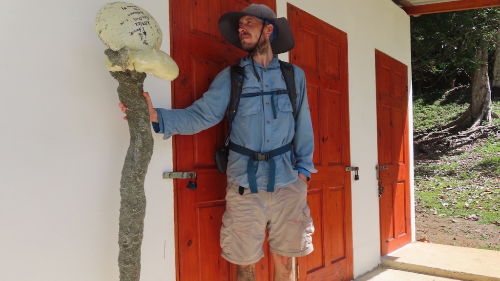 Mold of the entire burrow of a land crab from Osa Peninsula, Costa Rica. Themold was made in 2022 by Mark Laidre and now hangs as an educational tool at the Osa Conservation biological station in Costa Rica.